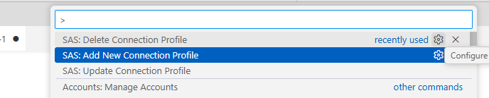 add connection to sas env.png